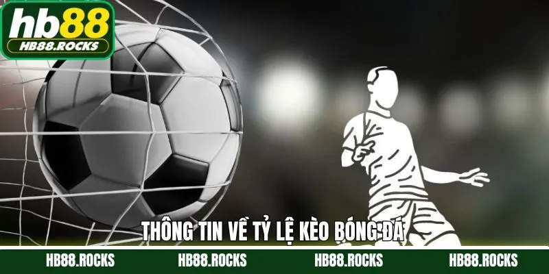 Thông tin cần nắm về tỷ lệ kèo bóng đá